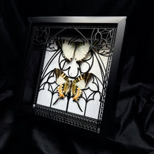 Load image into Gallery viewer, Graphium antiphates Pair In Shadow Box Frame
