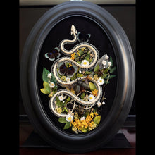 Load image into Gallery viewer, Pytas korros Skeleton in Antique Convex Glass Frame
