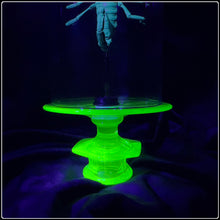 Load image into Gallery viewer, Heterometrus cyaneus in Uranium Glass Display
