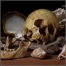 Load image into Gallery viewer, Pelagios - Limited Edition Fine Art Photographic Print
