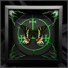 Load image into Gallery viewer, Chrysiridia rhipheus Lilith Sigil Frame
