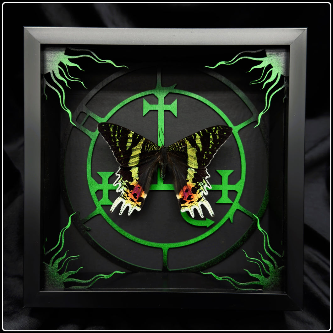 Chrysiridia rhipheus Lilith Sigil Frame