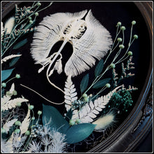 Load image into Gallery viewer, Stingray Skeleton in Antique Convex Glass Frame
