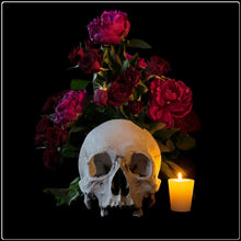 Load image into Gallery viewer, Florere - Limited Edition Fine Art Photographic Print
