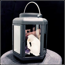 Load image into Gallery viewer, LED Lantern With Cat Skull
