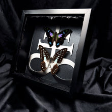 Load image into Gallery viewer, Butterfly Duo Shadow Box Frame
