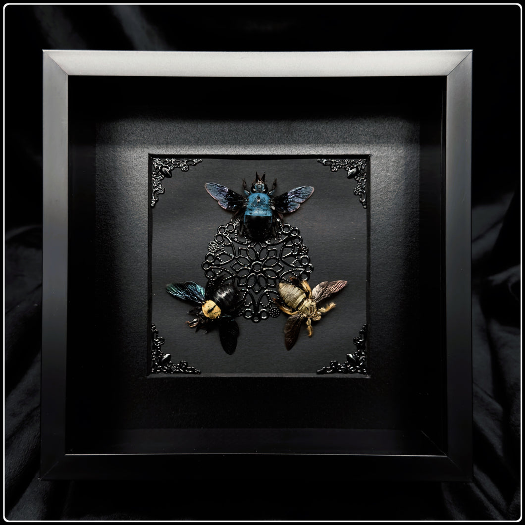 Trio of Bees Frame