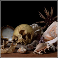 Load image into Gallery viewer, Pelagios - Limited Edition Fine Art Photographic Print

