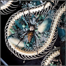 Load image into Gallery viewer, Snake Skeleton, Scorpion, Spider, Butterflies, Beetle &amp; Bee in Convex Glass Frame
