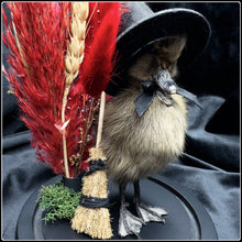 Load image into Gallery viewer, Witch Duckling - ‘Esme’
