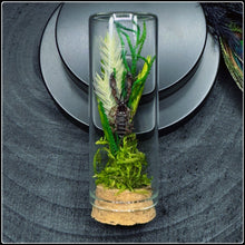 Load image into Gallery viewer, Dwarf Wood Scorpion Habitat Curio Bottle
