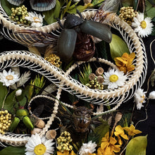 Load image into Gallery viewer, Pytas korros Skeleton in Antique Convex Glass Frame
