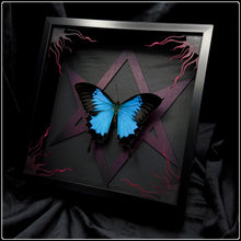 Load image into Gallery viewer, Papilio ulysses Unicursal Hexagram Frame
