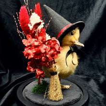 Load image into Gallery viewer, Witch Duckling - ‘Salem’
