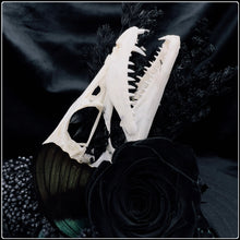 Load image into Gallery viewer, Largehead Hairtail Fish Skull, Black Rose, Butterfly Wing &amp; Beetle
