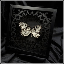 Load image into Gallery viewer, Idea Idea Sanctum Frame
