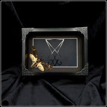 Load image into Gallery viewer, Acherontia styx Lucifer Sigil Frame
