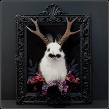 Load image into Gallery viewer, Taxidermy Jackalope on Antique Frame
