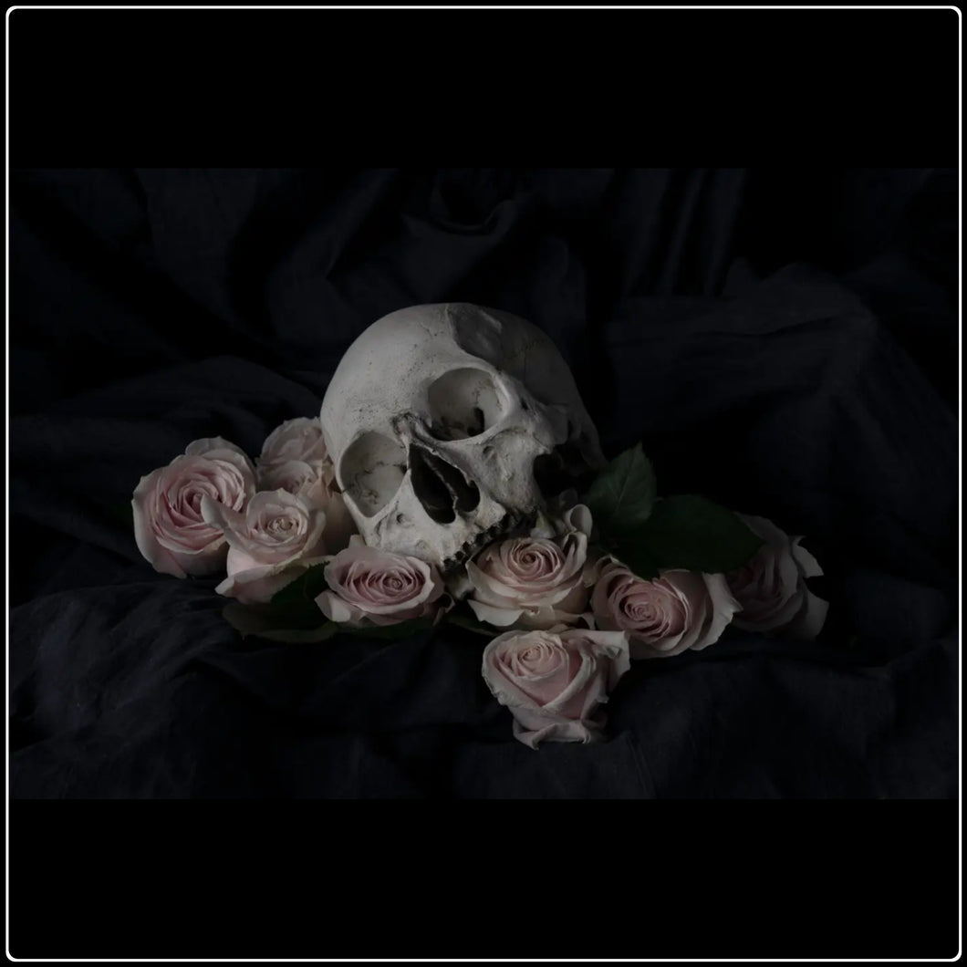 Ācēocian - Limited Edition Fine Art Photographic Print