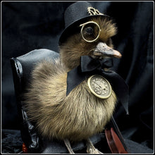 Load image into Gallery viewer, Victorian Duckling - ‘Professor Caspian Frederickton’
