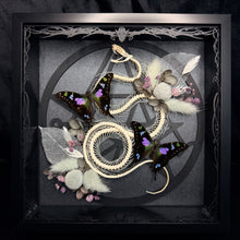 Load image into Gallery viewer, Rolling Viper ‘Necronomicon’ Frame
