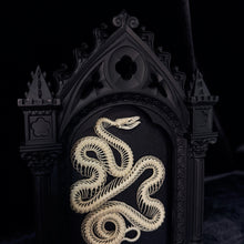 Load image into Gallery viewer, Viper Skeleton in Glass Fronted Cathedral Frame
