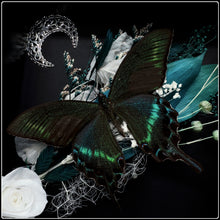 Load image into Gallery viewer, Papilio Maackii Butterfly with Botanicals and Crescent Moon
