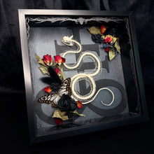 Load image into Gallery viewer, Rolling Viper Skeleton Leviathan Cross Frame
