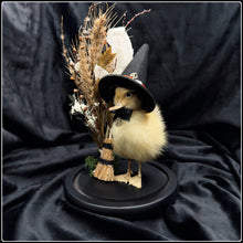 Load image into Gallery viewer, Witch Duckling - ‘Hazel’
