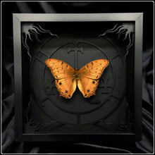 Load image into Gallery viewer, Vindula arsinoe Lilith Sigil Frame
