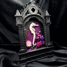 Load image into Gallery viewer, Sea Horse Skeleton On Cathedral Frame
