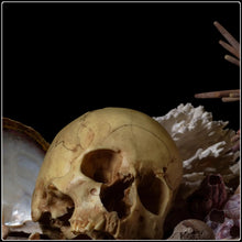 Load image into Gallery viewer, Pelagios - Limited Edition Fine Art Photographic Print
