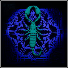 Load image into Gallery viewer, Heterometrus cyaneus Vanguard Frame - UV Reactive
