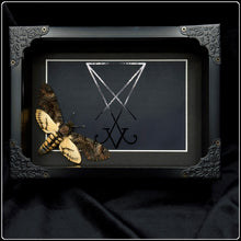 Load image into Gallery viewer, Acherontia styx Lucifer Sigil Frame
