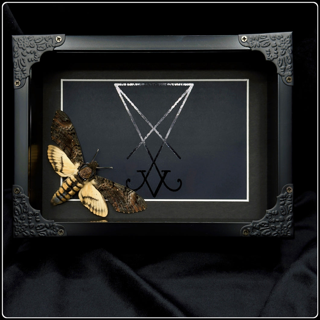 Acherontia styx Lucifer Sigil Frame