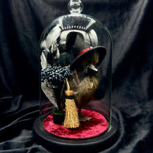 Load image into Gallery viewer, Witch Duckling - ‘Raven’
