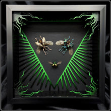 Load image into Gallery viewer, Beetle Trio Frame Inversus Frame
