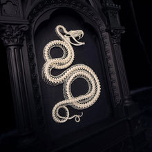 Load image into Gallery viewer, Viper Skeleton in Glass Fronted Cathedral Frame
