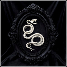 Load image into Gallery viewer, Viper Skeleton in Gothic Antique Style Frame
