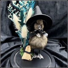 Load image into Gallery viewer, Witch Duckling - ‘Wren’
