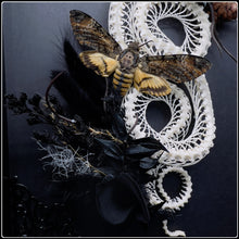 Load image into Gallery viewer, Bamboo Pit Viper &amp; Death’s Head Moth Frame
