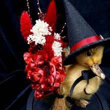 Load image into Gallery viewer, Witch Duckling - ‘Salem’
