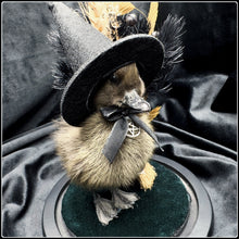 Load image into Gallery viewer, Witch Duckling - ‘Zelah’
