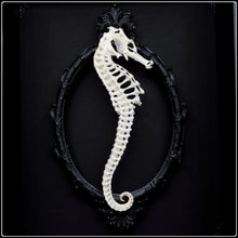 Load image into Gallery viewer, Seahorse Skeleton Shadow Box
