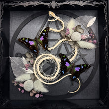 Load image into Gallery viewer, Rolling Viper ‘Necronomicon’ Frame
