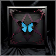Load image into Gallery viewer, Papilio ulysses Unicursal Hexagram Frame
