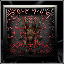 Load image into Gallery viewer, Haplopelma minax Astaroth Sigil Frame
