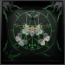 Load image into Gallery viewer, Ayuthia spectabile &amp; Bugs Astaroth Sigil Frame
