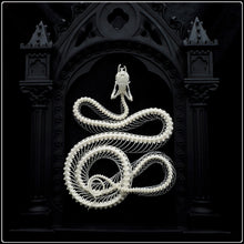 Load image into Gallery viewer, Viper Skeleton on Cathedral Frame
