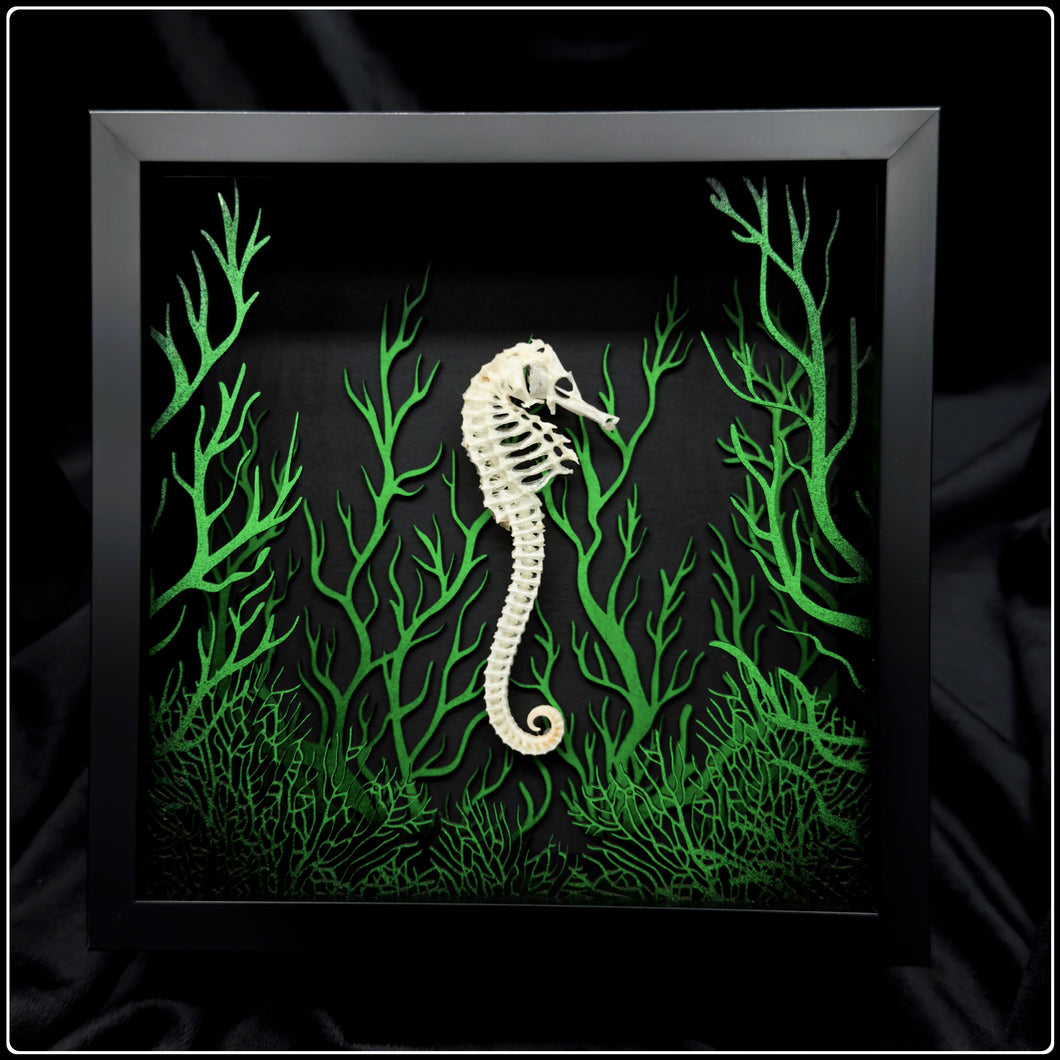 Seahorse Sea Bloom Frame